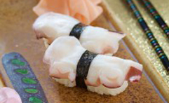 Nigiri Tako